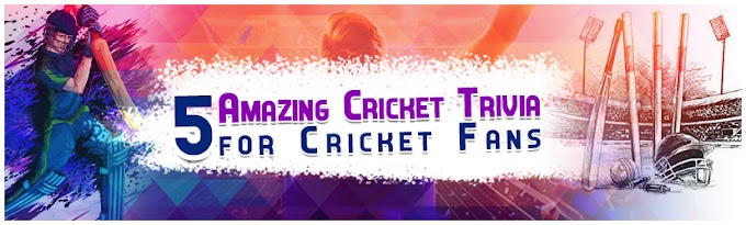 5 Amazing Cricket Trivia for Cricket Fans