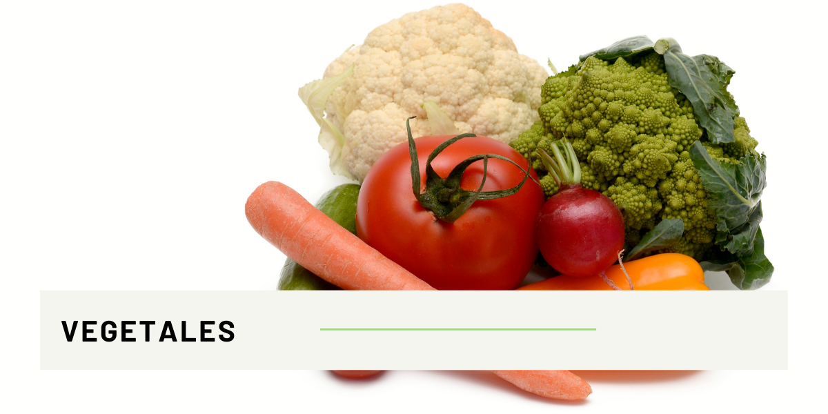 ANTIOXIDANTES- verduras