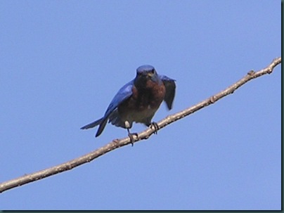 P1010026
