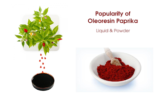 oleoresin paprika liquid