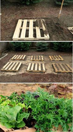 Pallet Gardening Ideas