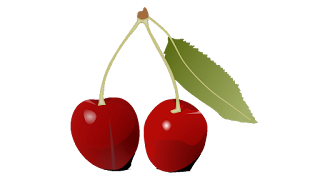 wild cherry clipart