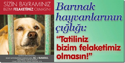 bayram_felaket1