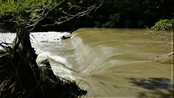 日野川が増水している様子、日野郡日野町小河内堰にて