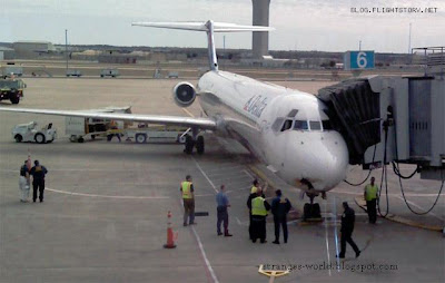 bird aeroplane strange world picture