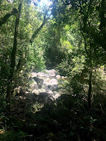 Parque Nacional do Itatiaia