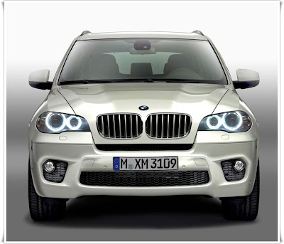 2011 BMW X5 M Sport Front View