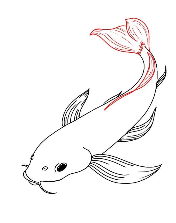 sketsa gambar ikan