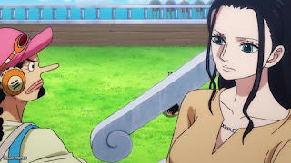 ワンピース アニメ 1088話 ロビン ONE PIECE Episode 1088