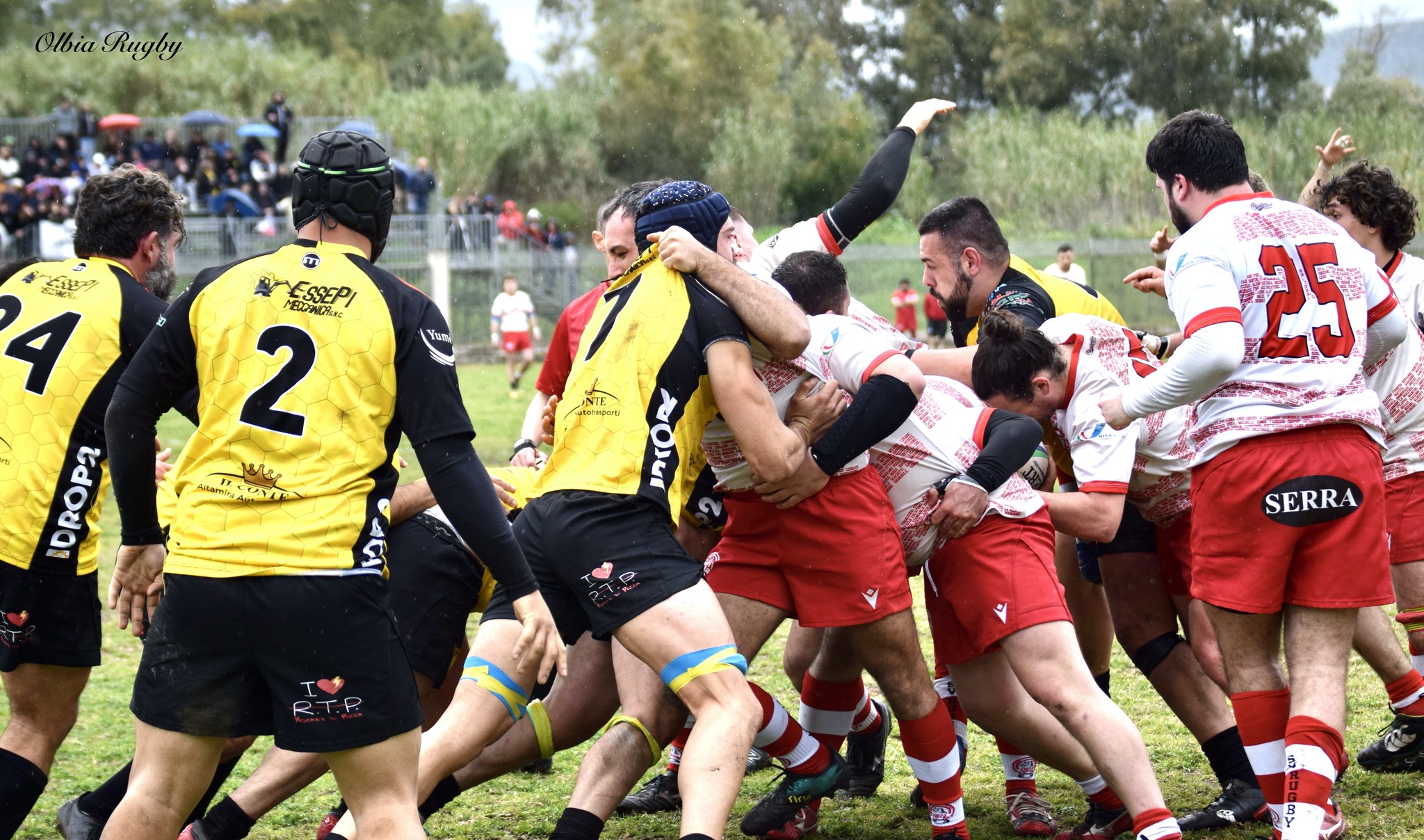 Piacenza Rugby v. Rugby Olbia 