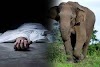 யானை தாக்கியதில்  தந்தை பலி