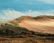 foto cover Dynamic dunes 2015: daring solutions for Natura 2000 challenges: Zandvoort-Rockanje, the Netherlands, October 7-9, 2015