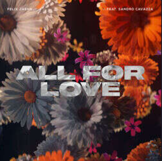 Pochette du titre « All For Love »