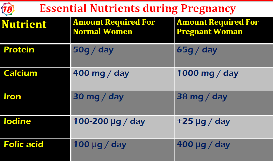 Pregnancy Diet Chart or Diet plan during pregnancy - Times Buzzer