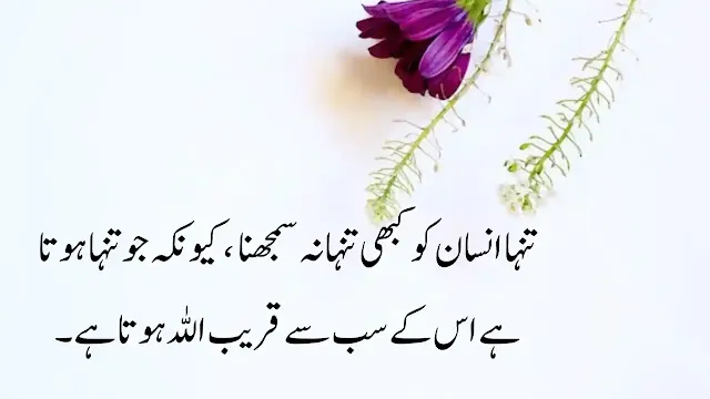 20+ Best Quotes Of Hazrat ALI (R.A)