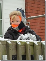 snow 043