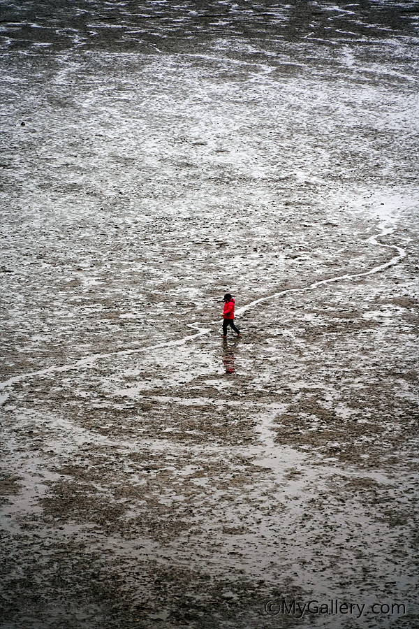 Seocheon-Getbol-Korean-Tidal-Flats