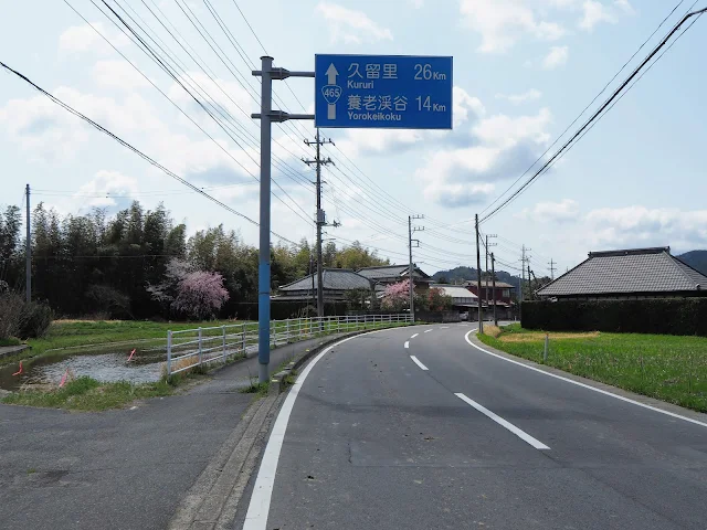 国道465号