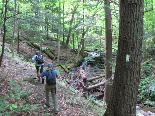 hikers by stream