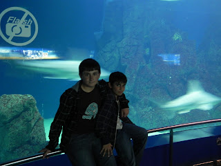 Oceanografic Valencia