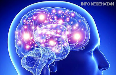 11 Tips Ampuh Mempertajam Daya Ingat Otak