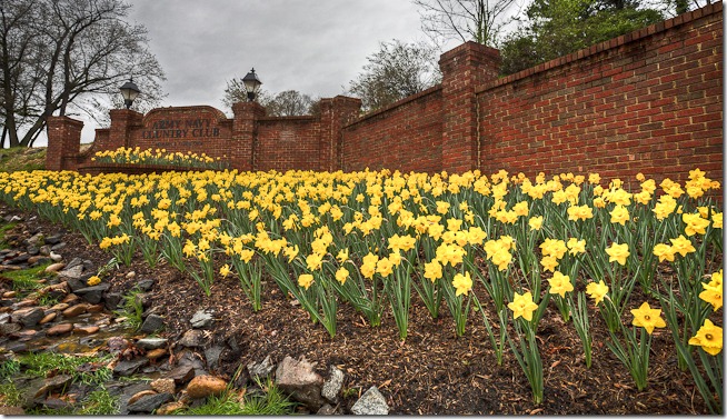 ANCC Flowers at the Gate