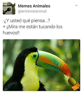 me están tucando los huevos