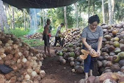 Sandra Rondonuwu Fokus Sejahtrakan Masyarakat Di Bidang Pertanian Dan Kewirausahaan
