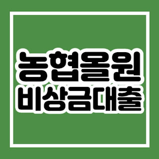 농협 올원 비상금대출