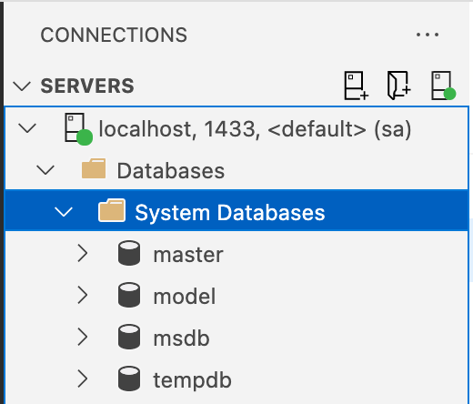 How to Set Up SQL Server Database with Docker