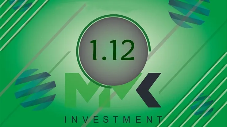 Отчет от MMK Investment