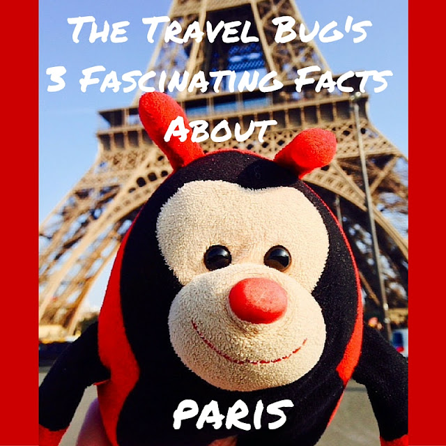 The Travel Bug: Paris