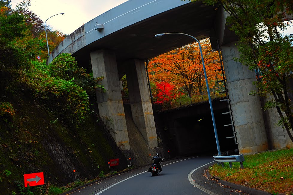 [日光鬼怒川ツーリング　　DSC_0887.jpg]