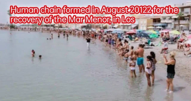 Human chain formed in August 20122 for the recovery of the Mar Menor, in Los
