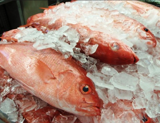 PENDINGINAN IKAN