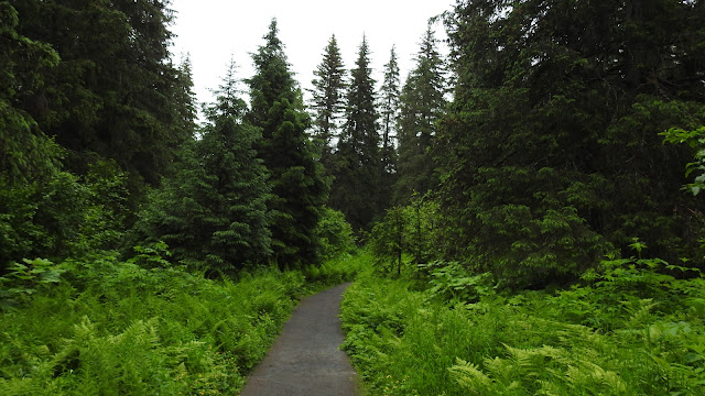 Alyeska & Alyeska Resort - Girdwood, AK