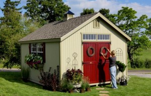 Cabin Shed Plans