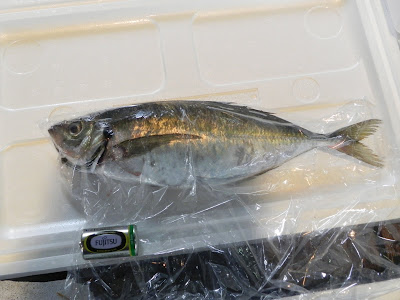 【人気ダウンロード！】 海老で鯛を釣る 類似 504006-海老で鯛を釣る 類似