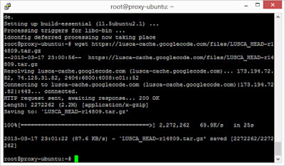 How to make lusca proxy linux (best tutorial)