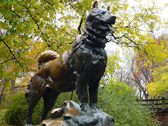 BALTO. Central Park, NYC.
