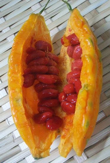 biji peria warna merah