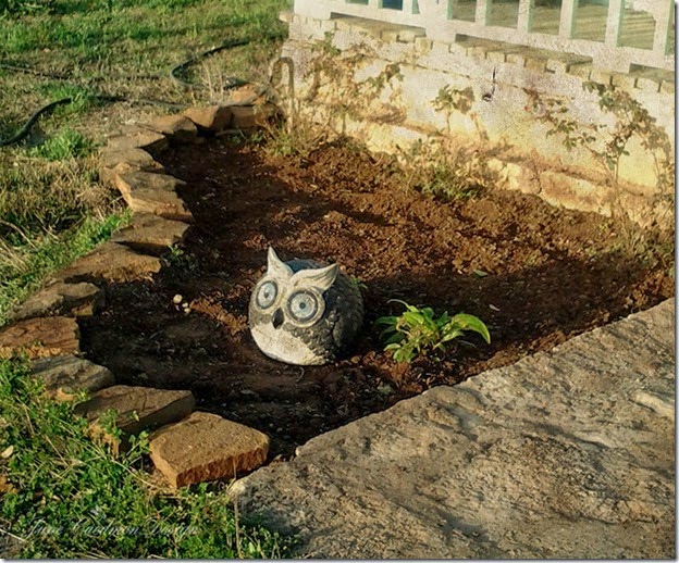 FlowerBed_organic
