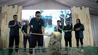 Groundbreaking Program DP Nol Rupiah Ke-2 Di Cilangkap Telah Dimulai, Terima Kasih Anies! 
