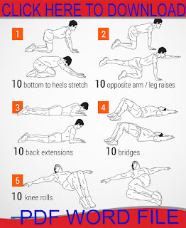 Back Workouts