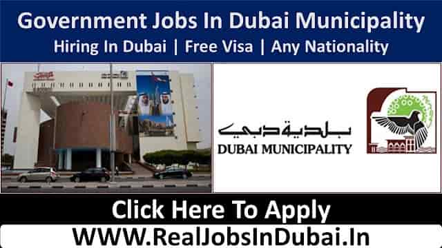Dubai Municipality Jobs In UAE 2024