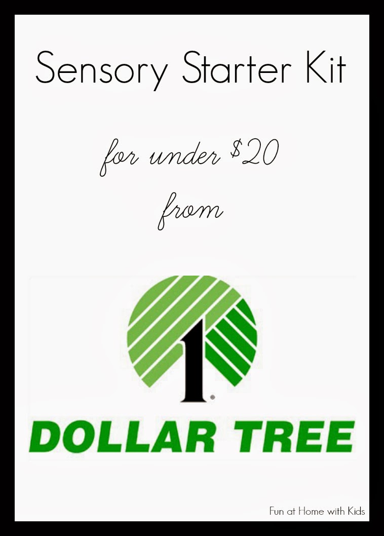 Sensory Starter Kit for under $20 from the Dollar Tree