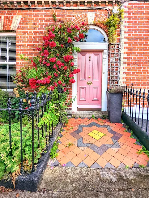 Door surrounded by red flowers in Dublin in June