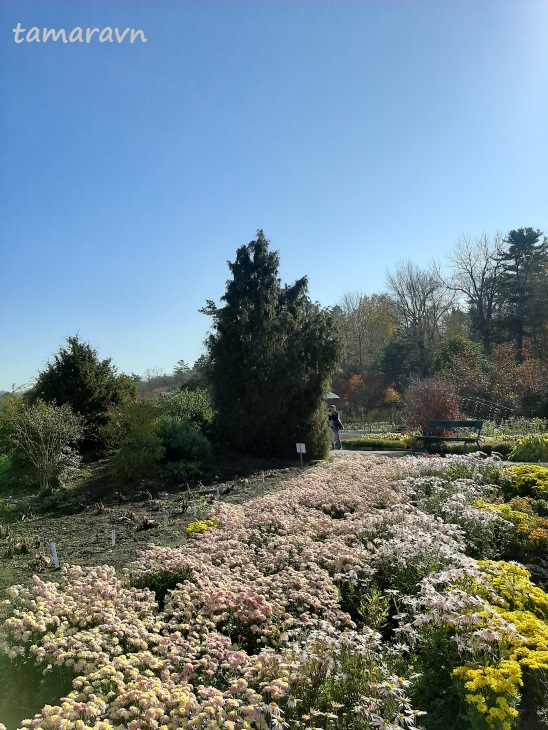 В ботаническом саду (20 октября)
