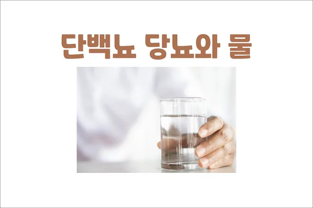 단백뇨와-당뇨-물을-마시면-단백뇨가-줄어드는가