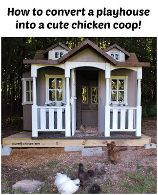 Playhouse chicken coop